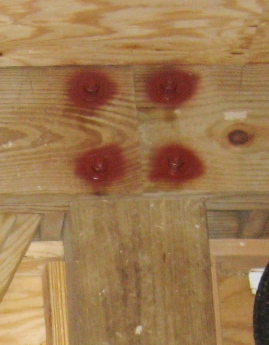 Image of corrosion inhibitor applied to metal bolts attaching the piers in a Galveston beach house garage. Image Copyright © 2009 Brad Larkin